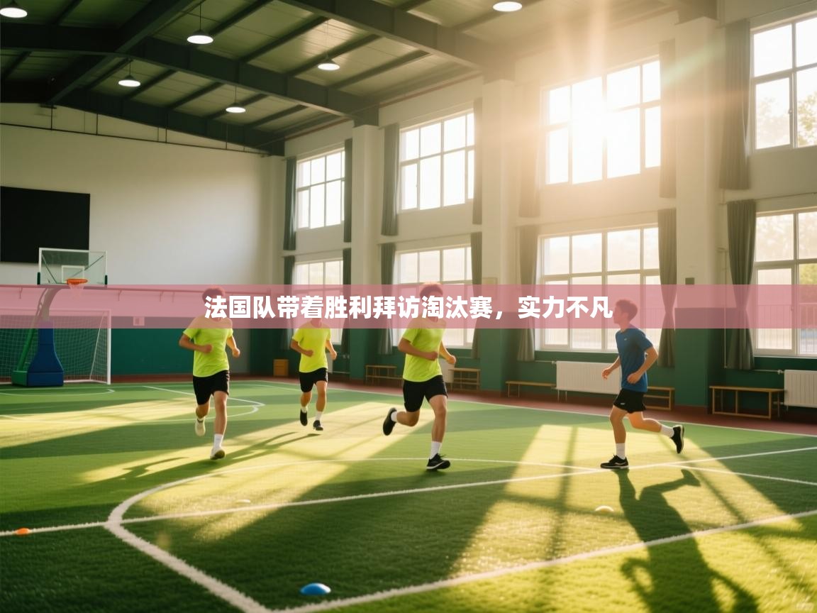 法国队带着胜利拜访淘汰赛,实力不凡