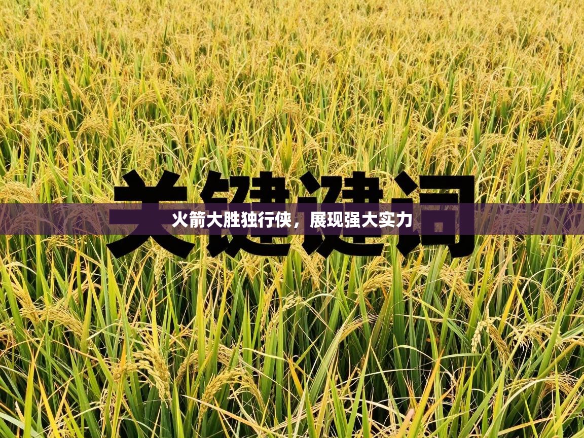 火箭大胜独行侠,展现强大实力 第2张