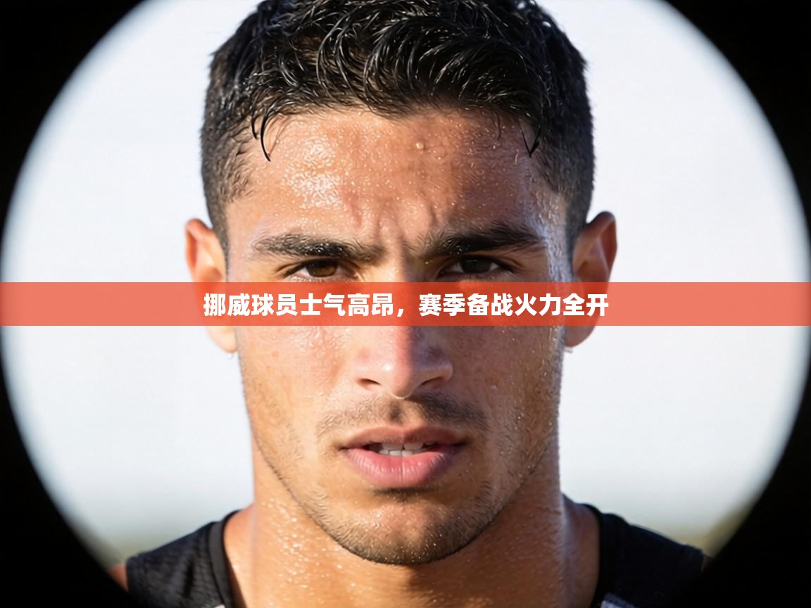 挪威球员士气高昂,赛季备战火力全开 第1张